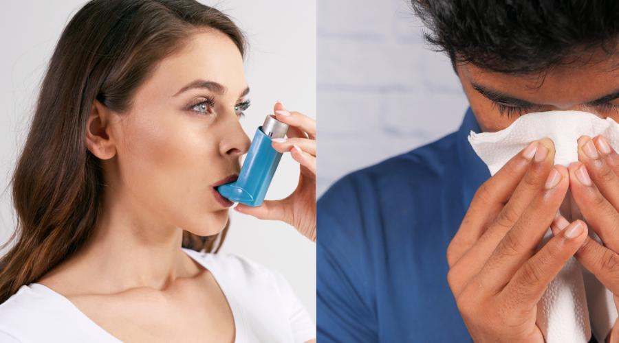 Allergy Testing and Treatment in Sugar Land